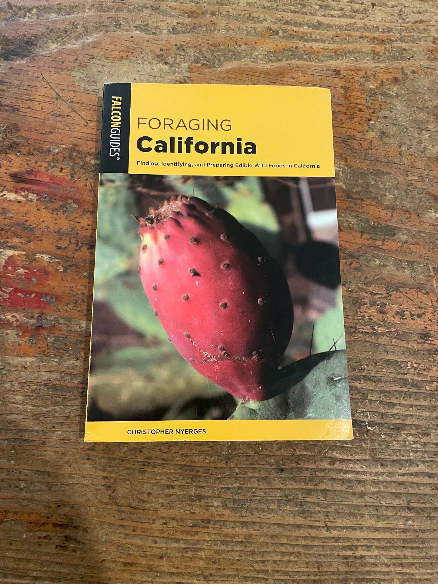 6a3b5815fb95883d96f6d076_foraging-california-book_1787856234913.jpeg