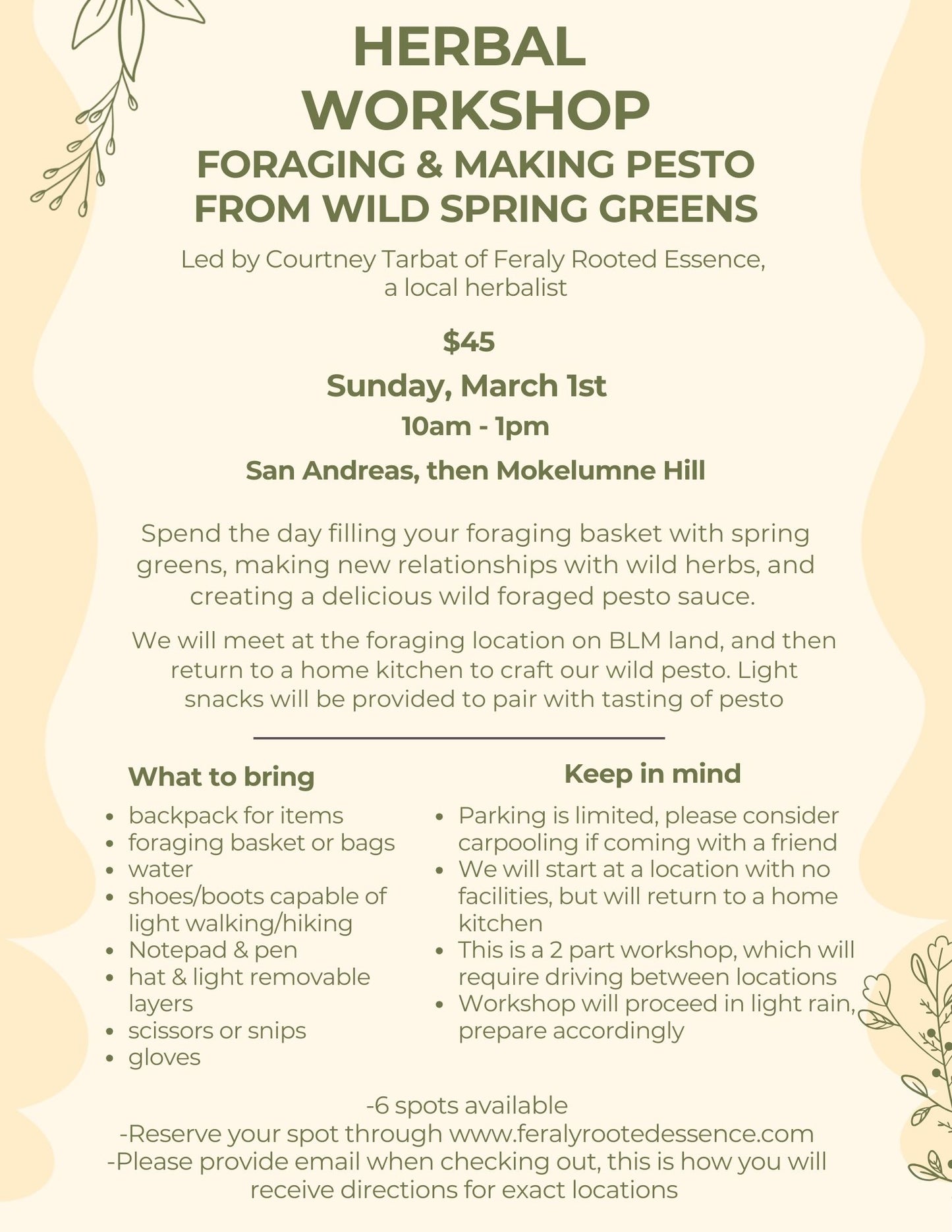 Foraging & pesto making workshop