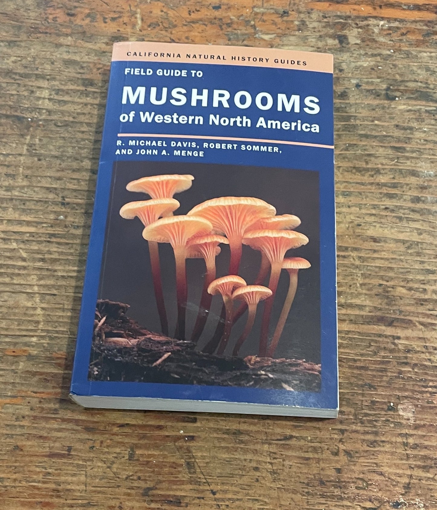 6a3b5815fb95883d96f6d076_field-guide-to-mushrooms-_1785955685533.jpeg