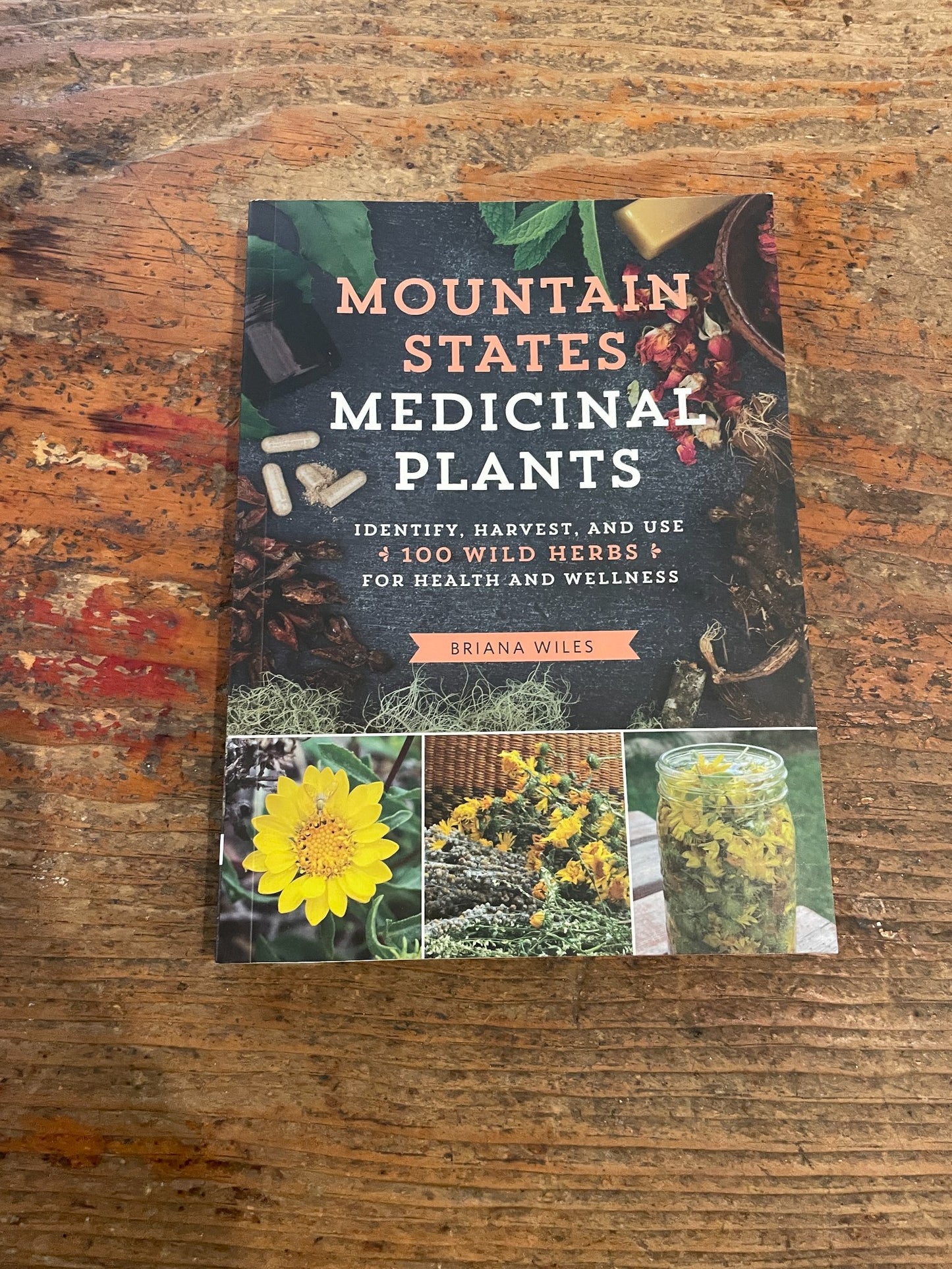 6a3b5815fb95883d96f6d076_mountain-states-medicinal-plants_1787856282722.jpeg
