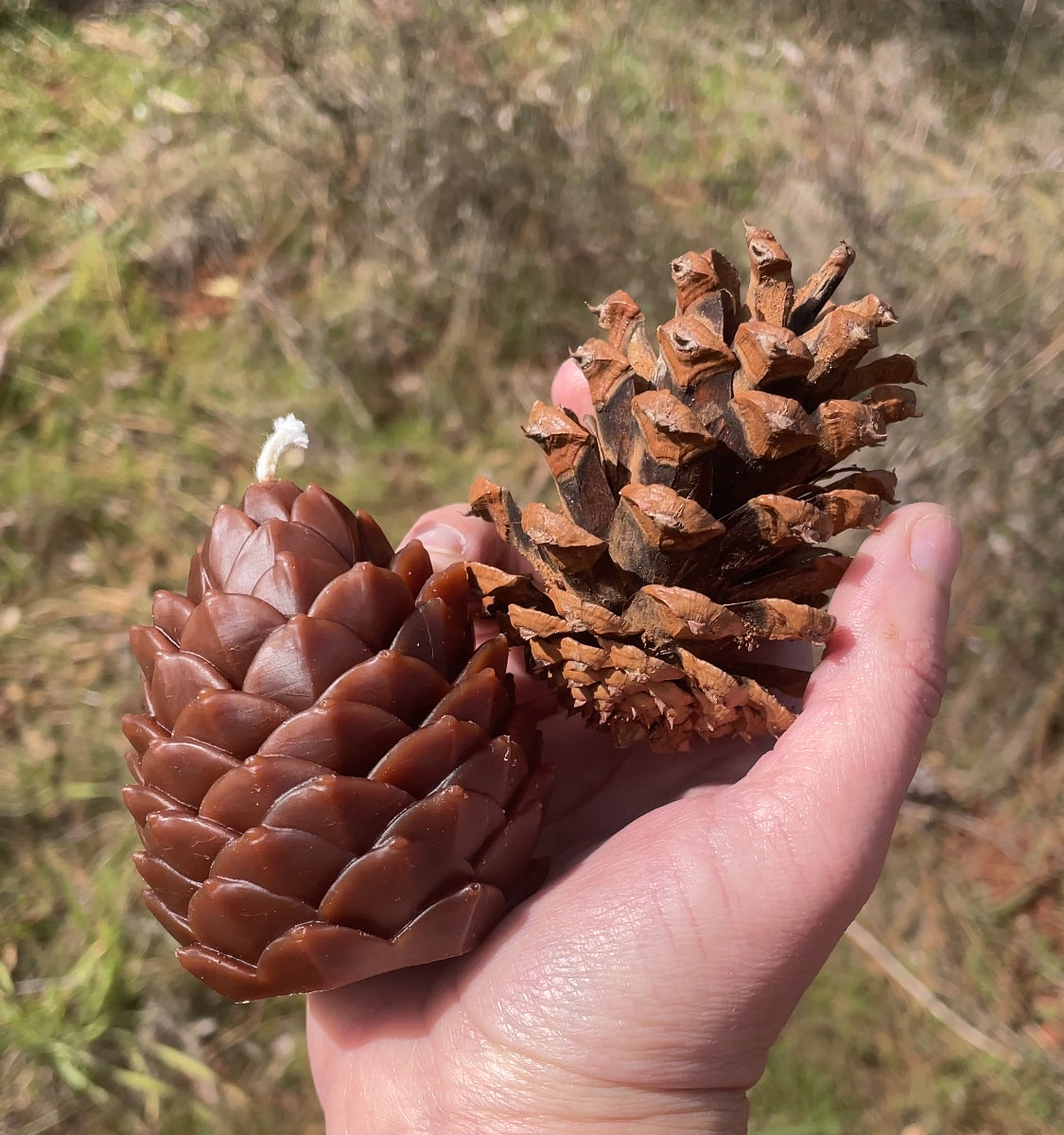 Pinecone Candle