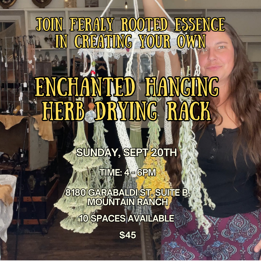 Enchanted Hanging Herb Drying Rack