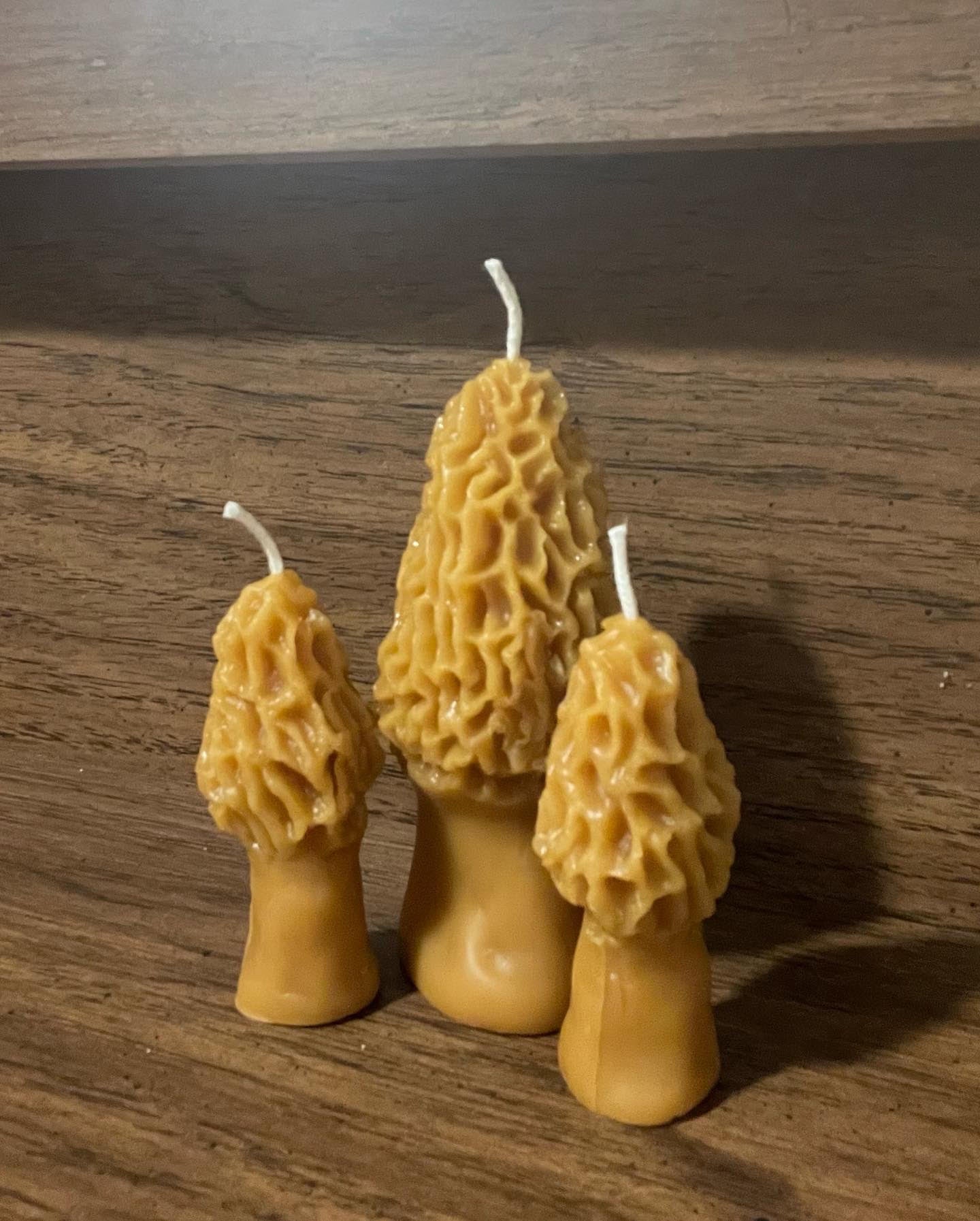 Morel Mushroom Beeswax Candles