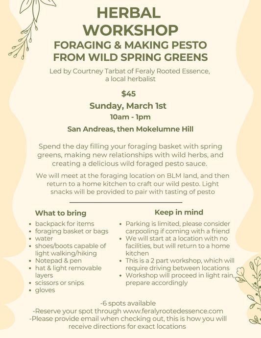Foraging & pesto making workshop