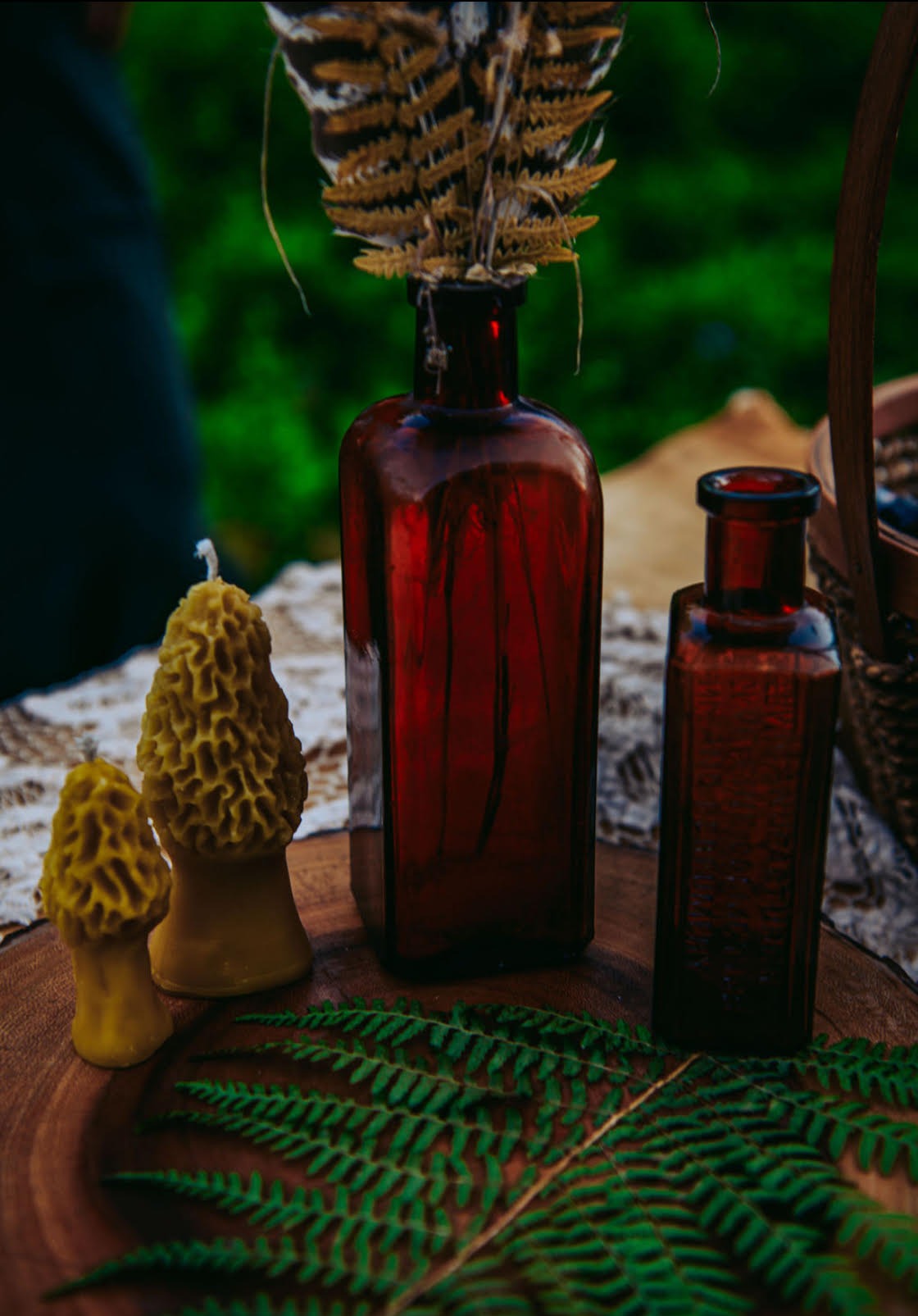 Morel Mushroom Beeswax Candles