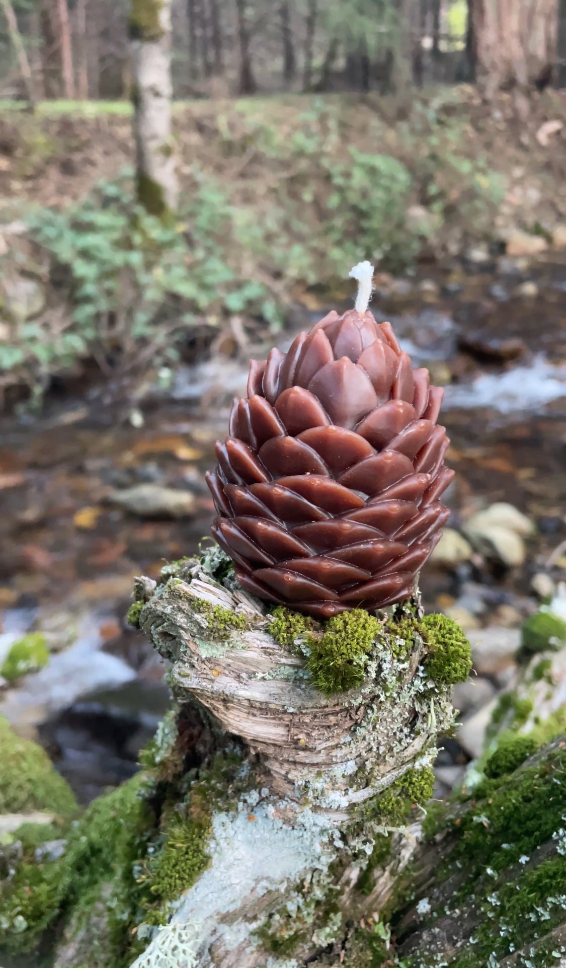Pinecone Candle
