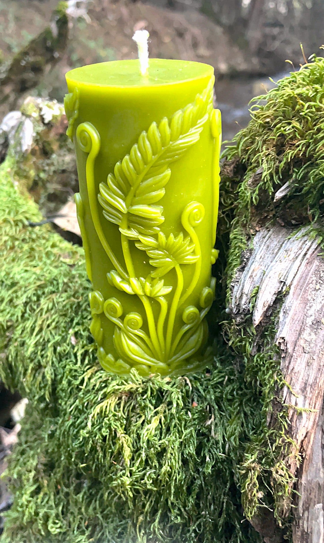 Unfurling Ferns Pillar Candle